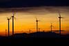 Windfarm