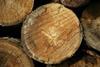Timber