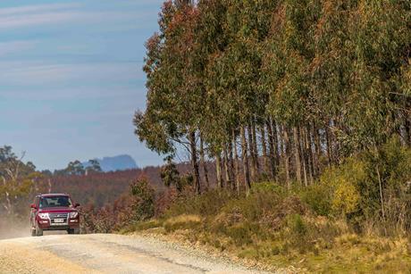 Forico hardwood estate in Tasmania